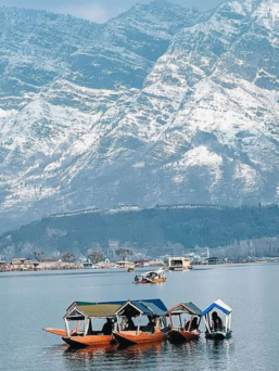 Hotel Snowland Sonamarg