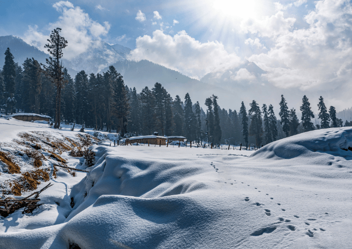 Kashmir Couple Special | 4N / 5D