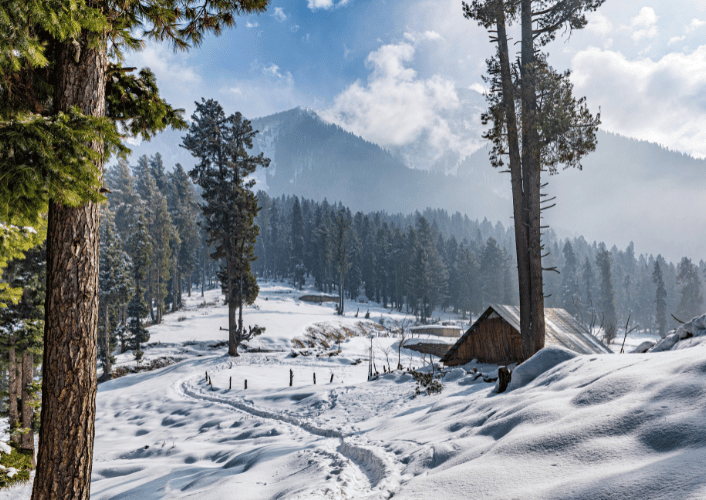 Kashmir Short Break | 3N / 4D